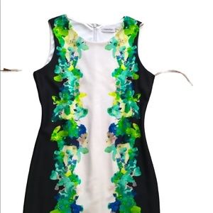 Calvin Klein | Floral Block Sheath